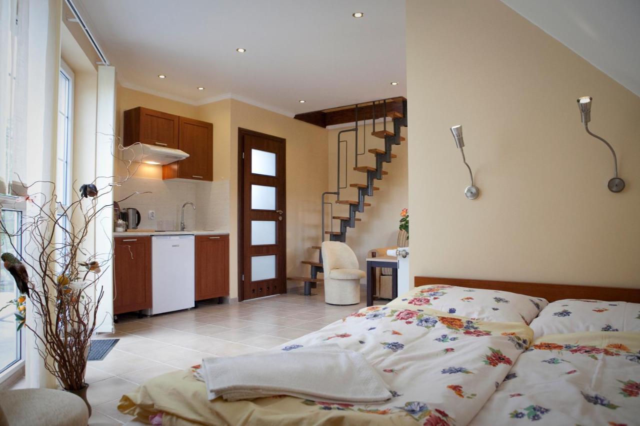 Europa Apartamenty เชซัช ภายนอก รูปภาพ