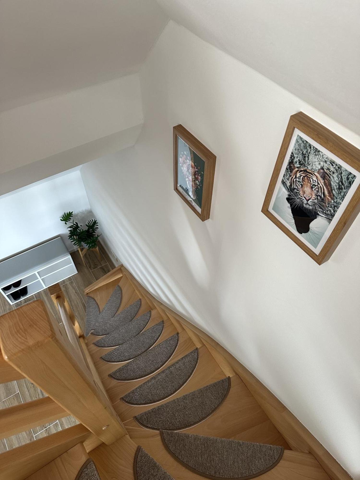 Europa Apartamenty เชซัช ภายนอก รูปภาพ